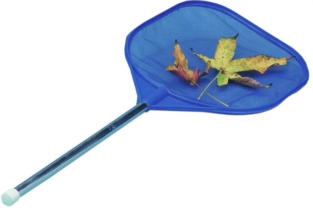 Kescher (Skimmer-Netz)