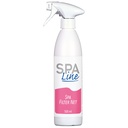 SpaLine SPA Filterreinigungsspray