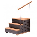 Einstiegstreppe "Family" mit Geländer