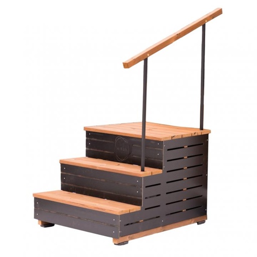 Einstiegstreppe "Family" mit Geländer