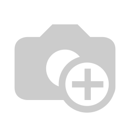 Softub Filter (bis 2009)